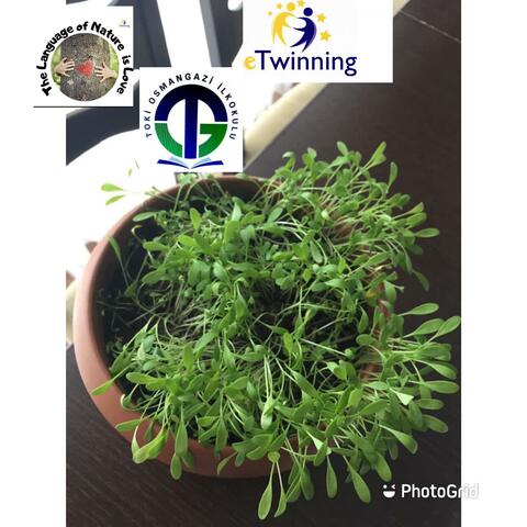 uupss :( something is going bad :(