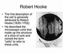 Robert hooke coins the term cell