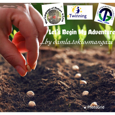 Timeline: My Sowing Seed Adventure