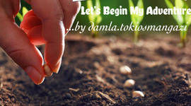 Timeline: My Sowing Seed Adventure