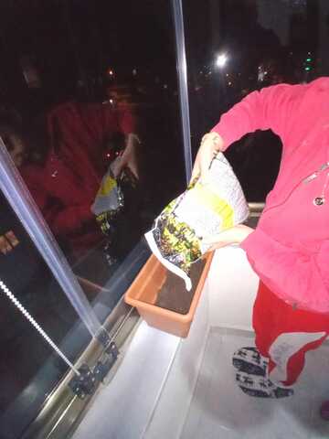 Let's Start My Adventure