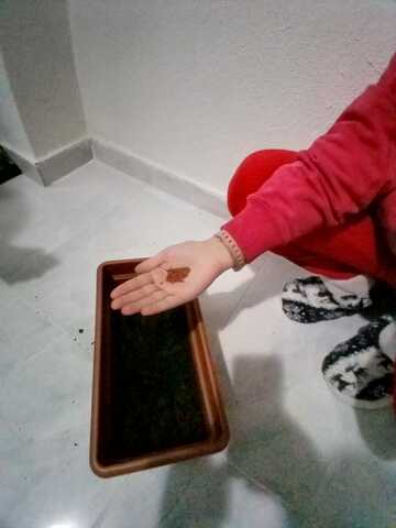 Let's Start My Adventure