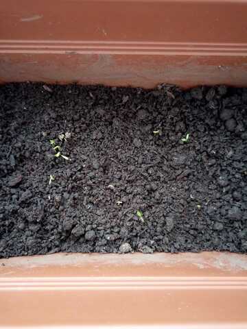 And it's Blooming ...