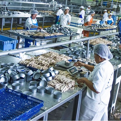 Timeline: Las Industrias en el Perú.