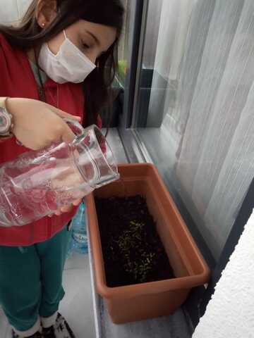 My adventure is going on ...