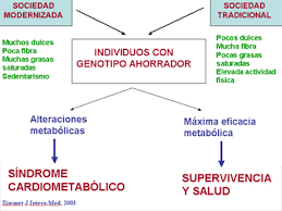 Hipótesis del genotipo ahorrador