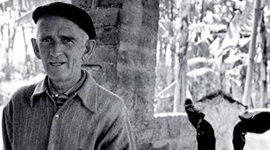 Timeline: Vida y Obra de Fernando González Ochoa