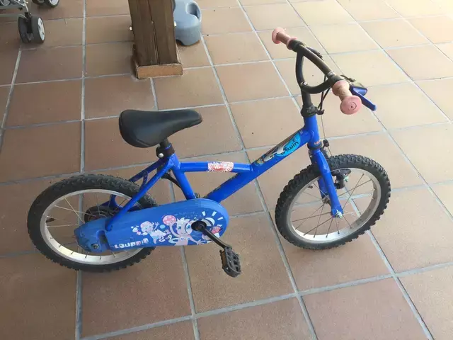 Bicicleta