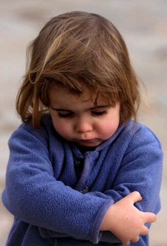 Developmental Challenge