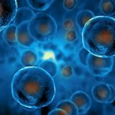 Timeline: the history of cells