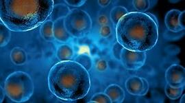 Timeline: the history of cells