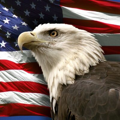 Timeline: Patriot Program Timeline