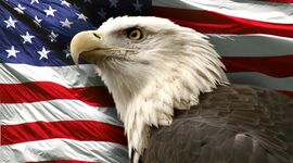 Timeline: Patriot Program Timeline