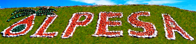 Tocache (San Martin).