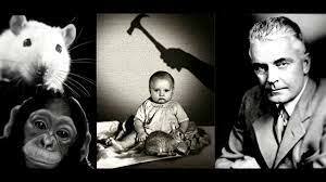 CONDUCTISMO  John B. Watson, experimento con ¨Pequeño Albert¨