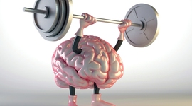 Timeline: Corpo-Mente