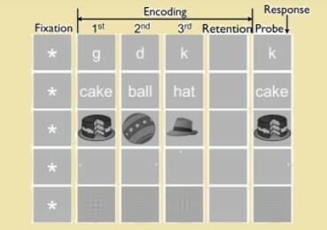 Saul Sternberg, " Recuperación de la MT"