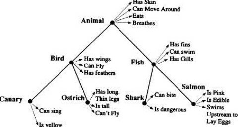 Allan M. Collins y M. Ross Quillian," Memoria semántica"