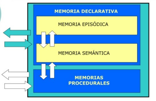 1972- 1983 Endel Tulving, " Memoria episódica y semántica"