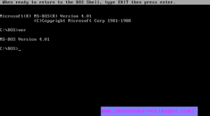 MS-DOS 4.01 (MicroSoft Disk Operating System)