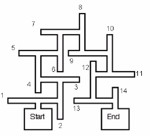 Teoría Cognitiva Tolman y Honzik  Los modelos de aprendizaje E-E y E-R
