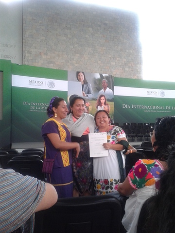 Reconocimiento de las CAMIS