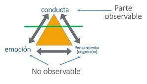 Teoría Cognitiva El modelamiento