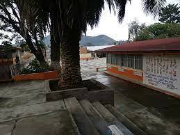 Cuarto año de primaria