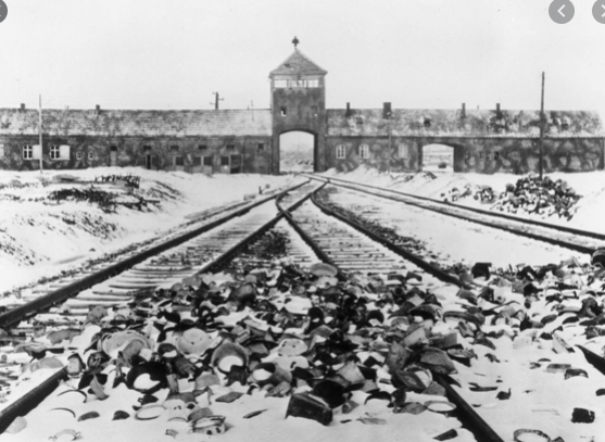 Holocaust