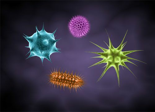 The discovery of microorganisms