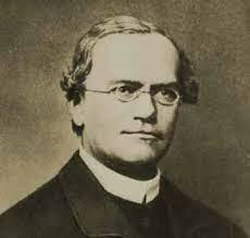Gregor Mendel