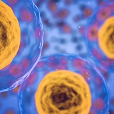 Timeline: Hitos principales en el conocimiento de la biología celular y molecular