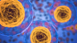 Timeline: Hitos principales en el conocimiento de la biología celular y molecular