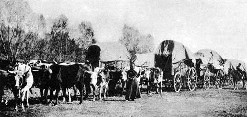 People Traveling to California in Search for Gold