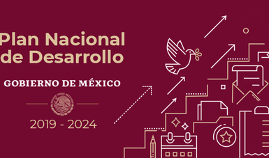 Programa Sectorial de Salud 2020-2024