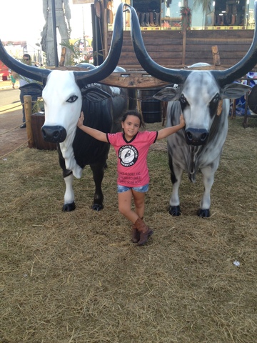 Festa do peão em Barretos.