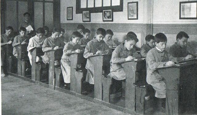 "Bases para la organización de la escuela primaria"