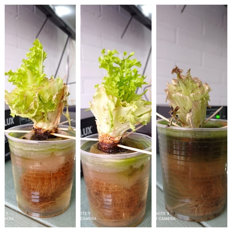 ¡Algunos días después y ya hay cambios!