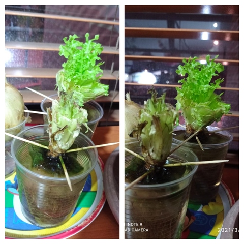 No hay muchas mejoras