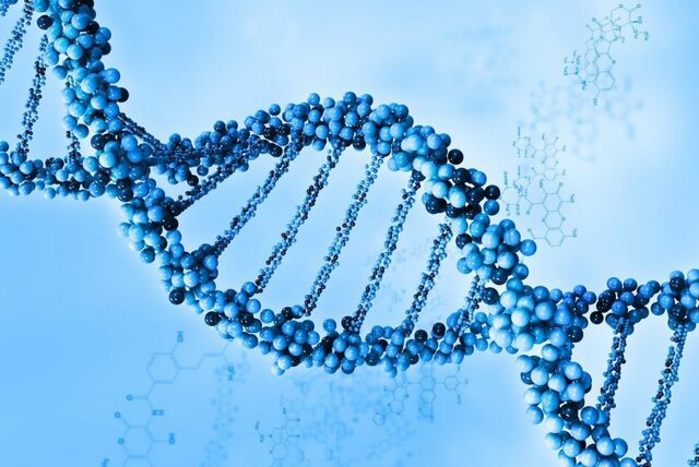 La Programación (Inicios del siglo XX)