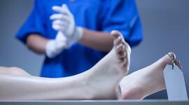 Timeline: Tanatología en Muerte Natural