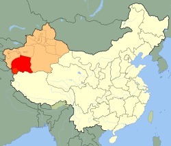 Anschlag in Hotan