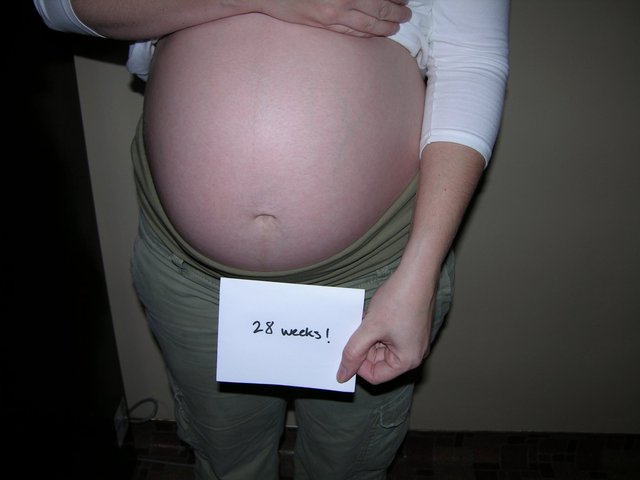 Seventh Month  (28 weeks)