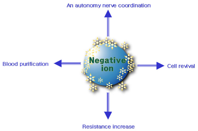 Nucleaus and Radiation types