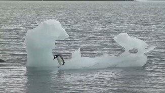 Desgels a L’Àrtic i l’Antàrtida