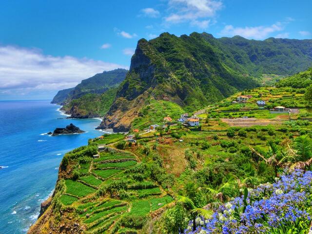 Discovered Madeira