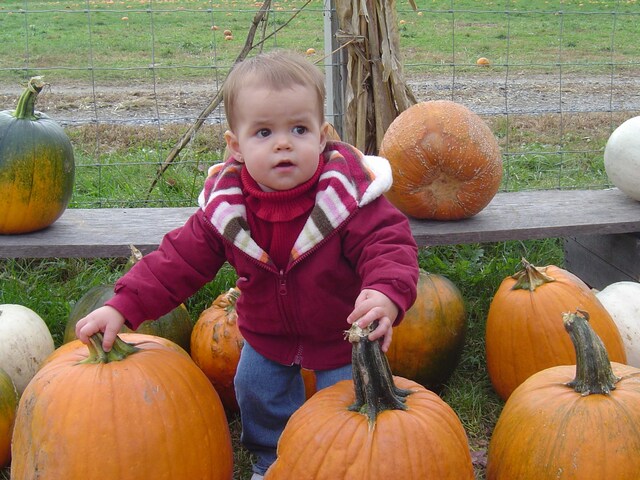 First Trip To The Pumpkin Patch