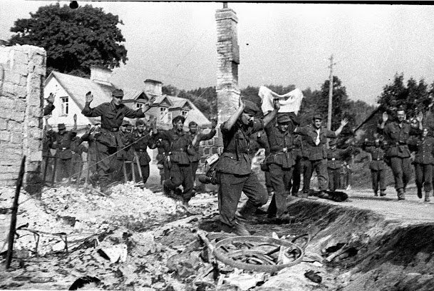 Poland falls to Germany