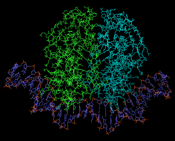 La organización de la vida en gotas