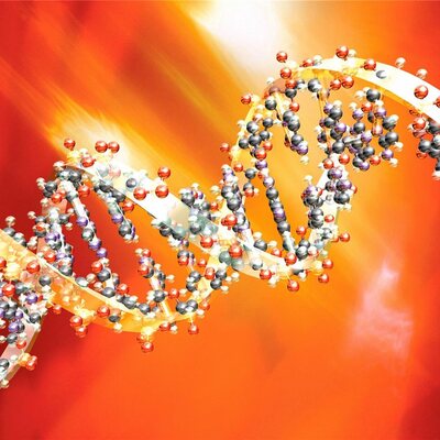 Timeline: El ADN a través del tiempo